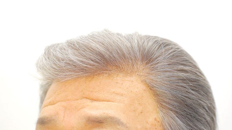 かつらの生え際(白髪、オールバック)