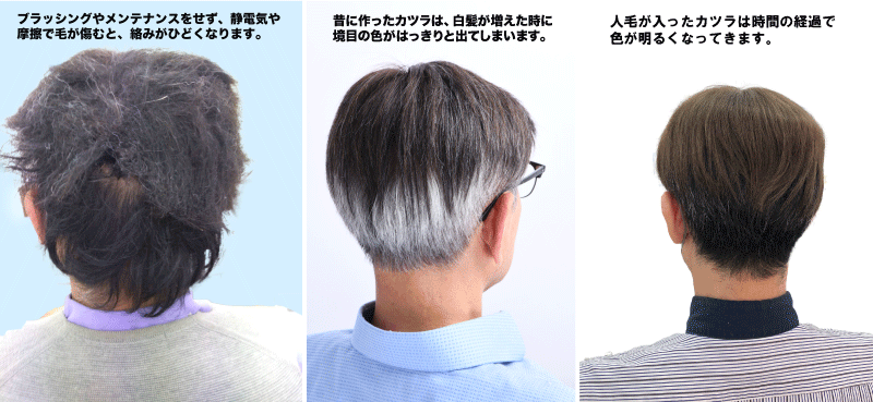 バレバレかつらの写真