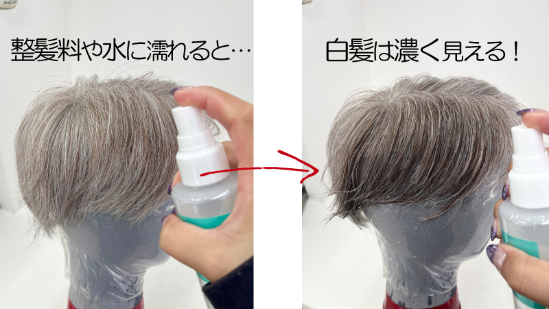整髪料や水に濡れると白髪は濃く見える