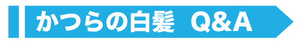 かつらの白髪Q&A