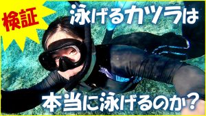 泳げるかつらはカツラを着けたまま水泳できるのか？検証！