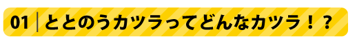 01ととのうかつらってどんなカツラ!?