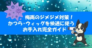 梅雨のジメジメ対策！かつら・ウィッグを快適に使うお手入れ完全ガイド