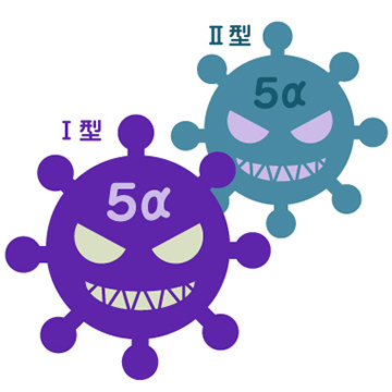 5αリダクターゼのイメージイラスト