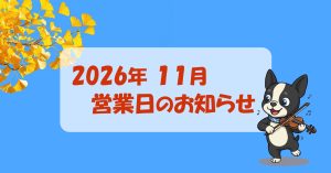 インクリーズヘアー2026年11月営業日のお知らせ