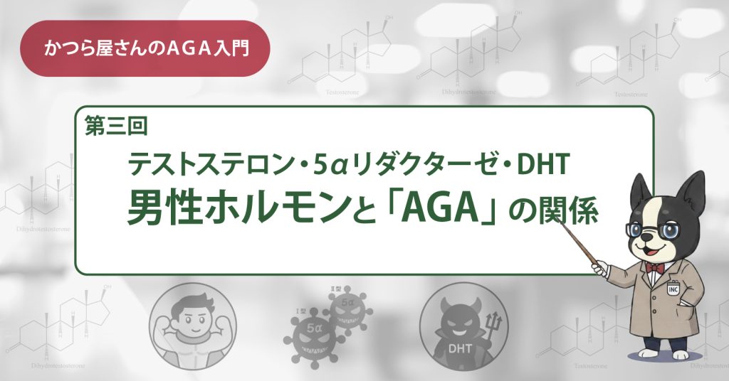 男性ホルモンとAGAの関係（テストステロン・5αリダクターゼ・DHT）