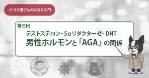 男性ホルモンとAGAの関係（テストステロン・5αリダクターゼ・DHT）