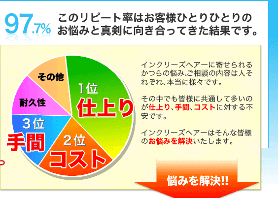 かつらの悩み円グラフ：リピート率97.7%