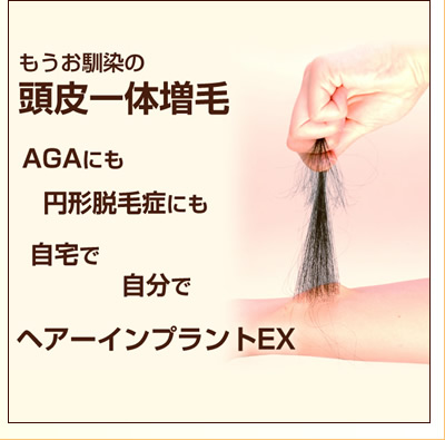 ヘアーインプラントEX