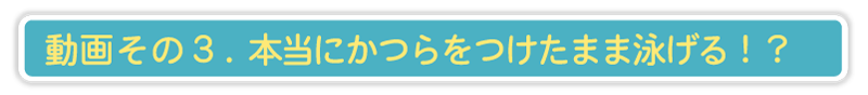 動画その３ほんとうにかつらをつけたまま泳げる！？