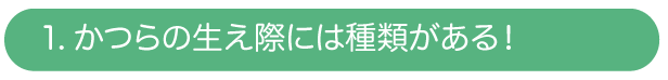 かつらの生え際には種類がある