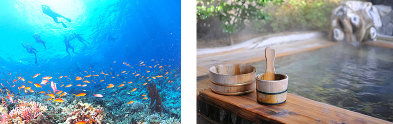 季節ごとの使用シーン