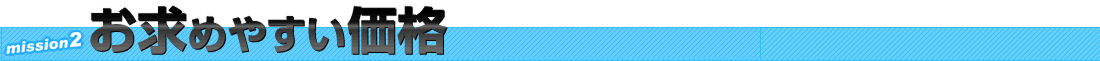 お求めやすい価格